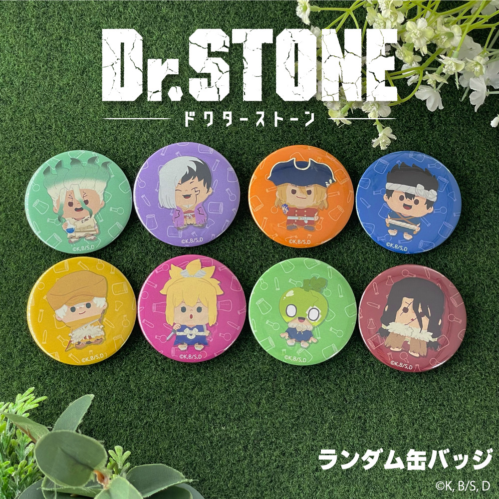 Dr.STONE ランダム缶バッジBOX (全9種)|