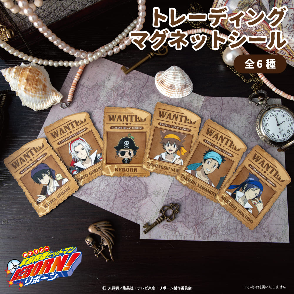 家庭教師ヒットマンREBORN! 描き下ろし パイレーツ衣装 トレーディングマグネットシール|